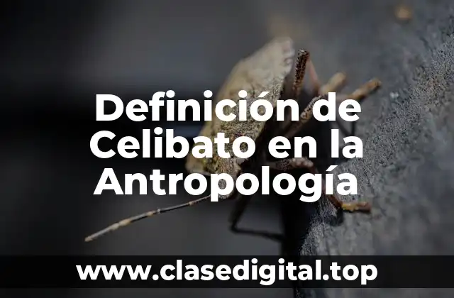 Ejemplos de Celibato en la Antropología