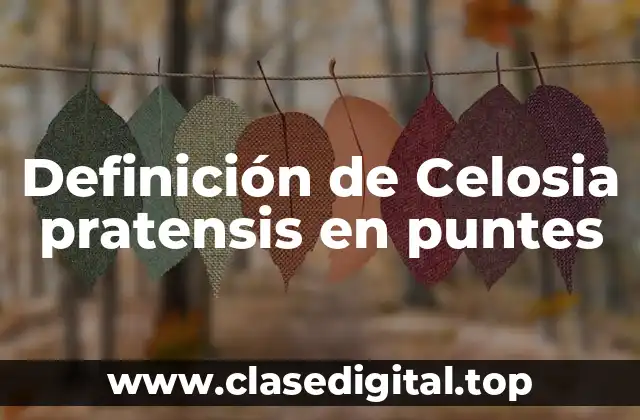 Definición de Celosia pratensis en puntes