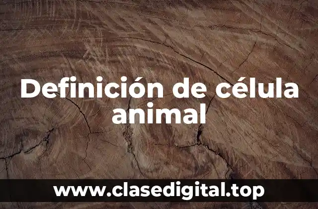 Definición de célula animal