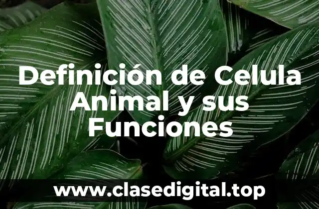 Definición de Celula Animal y sus Funciones