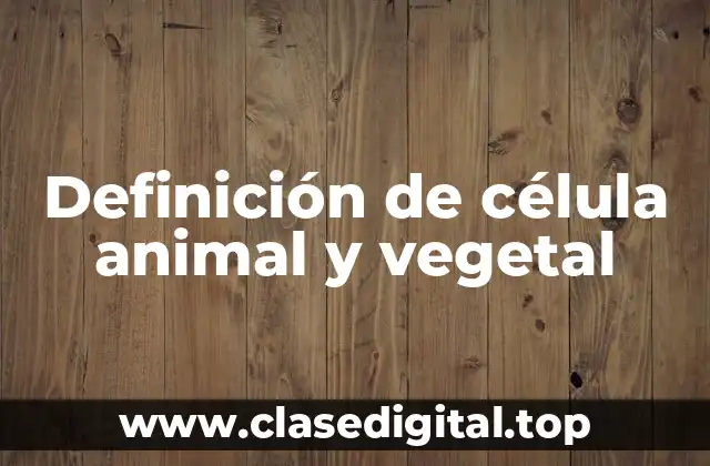 Definición de célula animal y vegetal