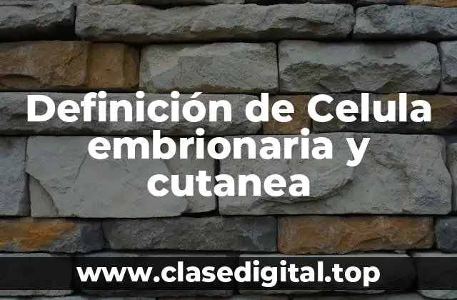 Definición de Celula embrionaria y cutanea