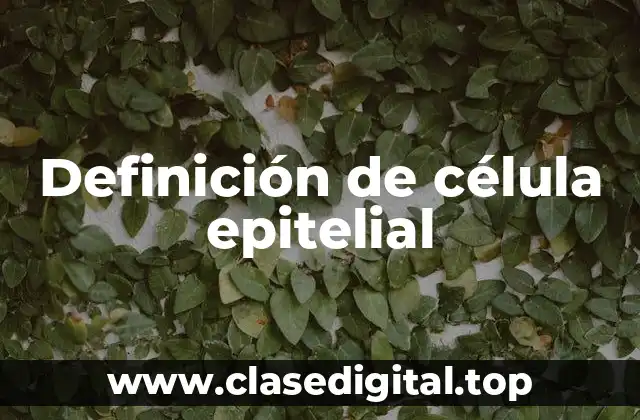 Definición de célula epitelial