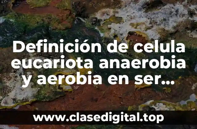 Definición de celula eucariota anaerobia y aerobia en ser humano