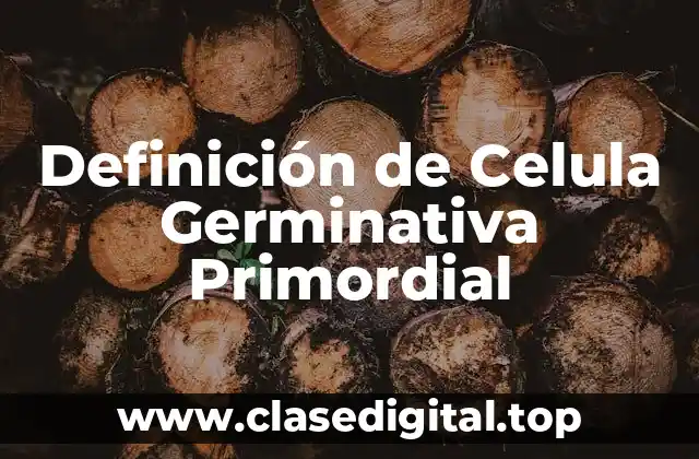 Definición de Celula Germinativa Primordial