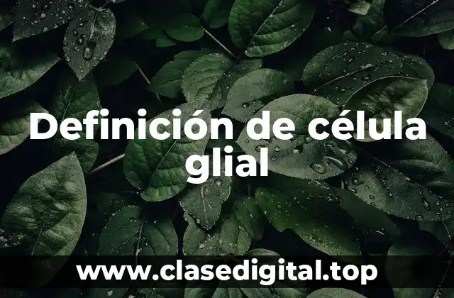 Definición de célula glial