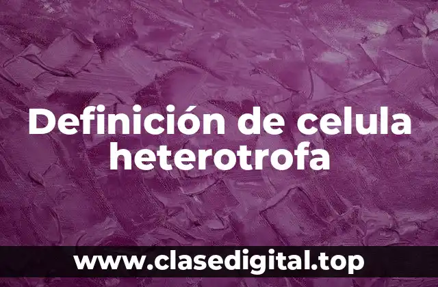Ejemplos de células heterotrofas
