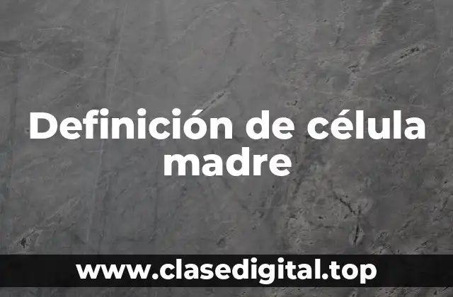 Definición de célula madre