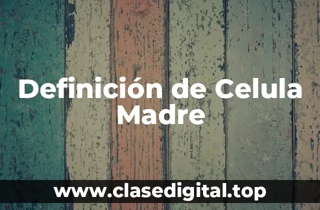 Definición técnica de célula madre