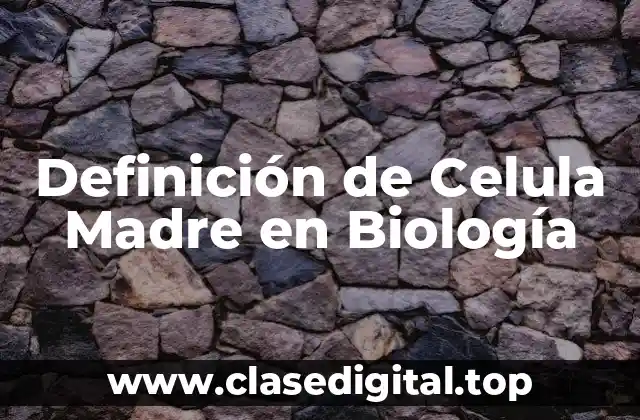 Definición de Celula Madre en Biología
