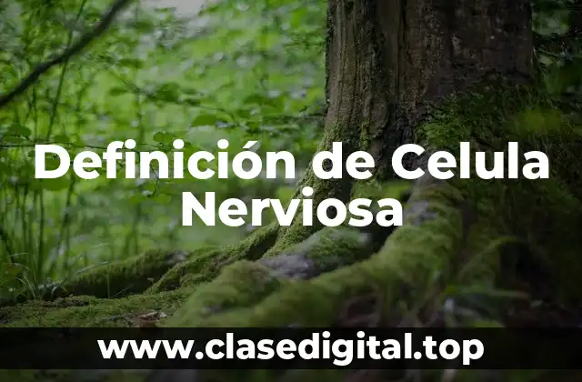 Definición de Celula Nerviosa