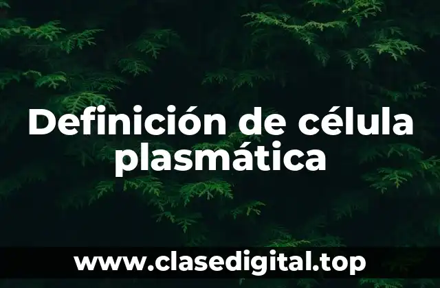 Definición de célula plasmática