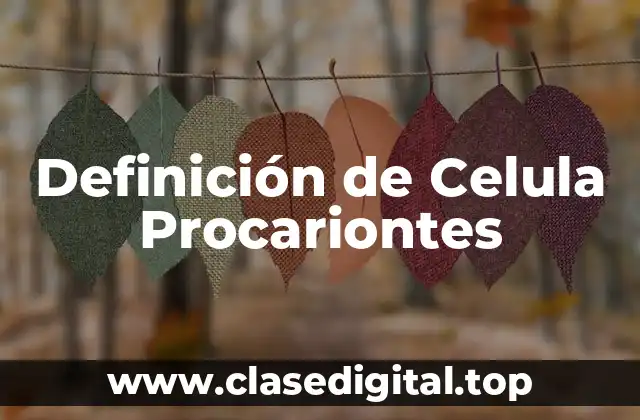 Definición de Celula Procariontes