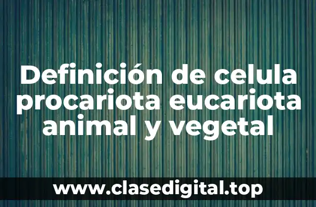 Definición de celula procariota eucariota animal y vegetal
