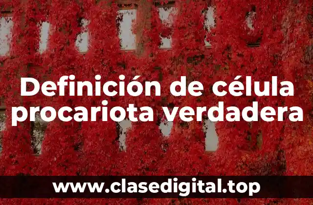 Definición de célula procariota verdadera