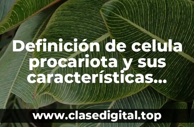 Definición de celula procariota y sus características fundamentales