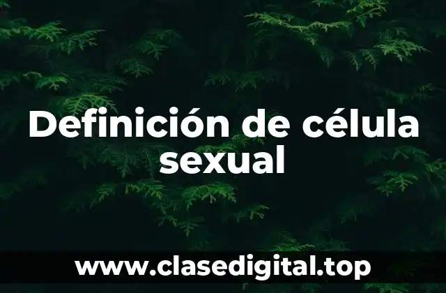 Definición de célula sexual