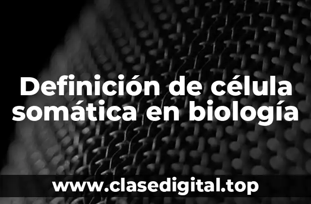 Definición de célula somática en biología
