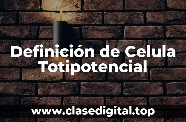 Definición de Celula Totipotencial