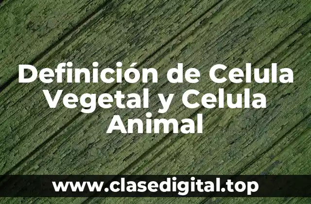 Definición de Celula Vegetal y Celula Animal