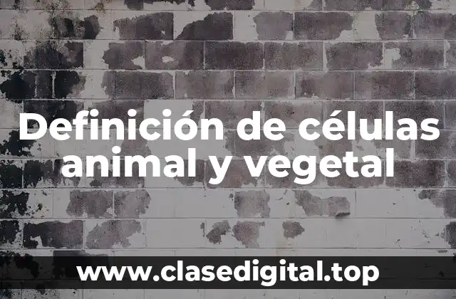 Definición de células animal y vegetal