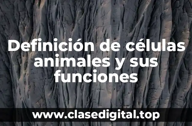 Definición de células animales y sus funciones