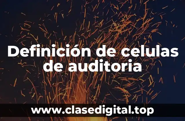 Definición de celulas de auditoria