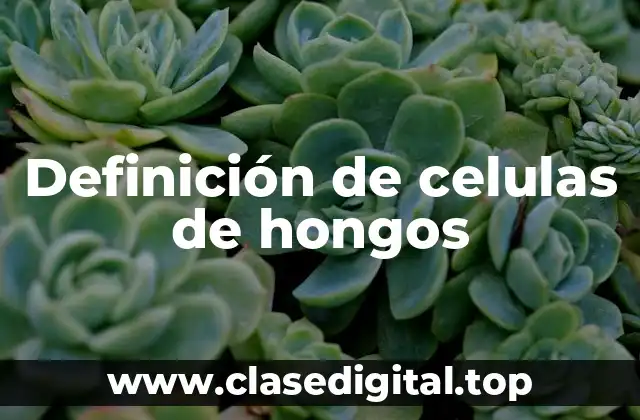 Definición de celulas de hongos
