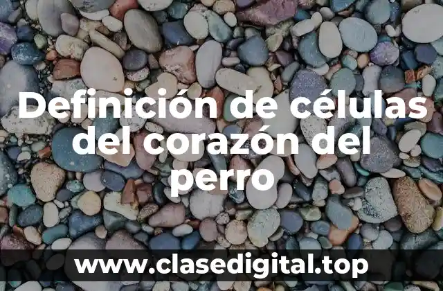 Definición de células del corazón del perro