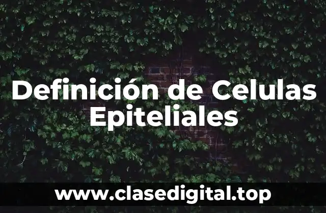 Definición técnica de Celulas Epiteliales