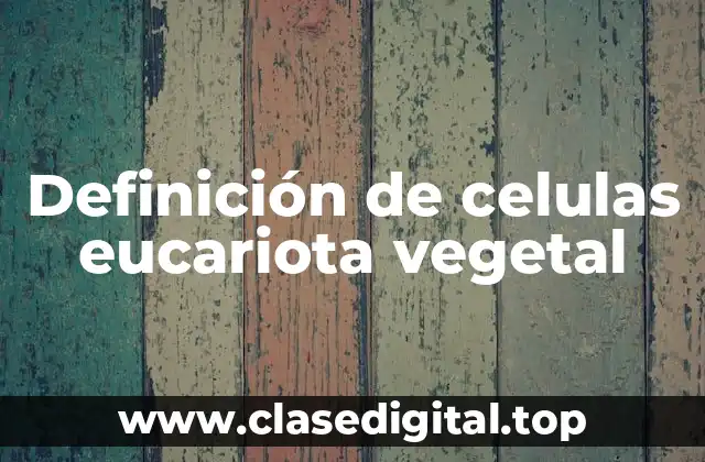 Definición de celulas eucariota vegetal