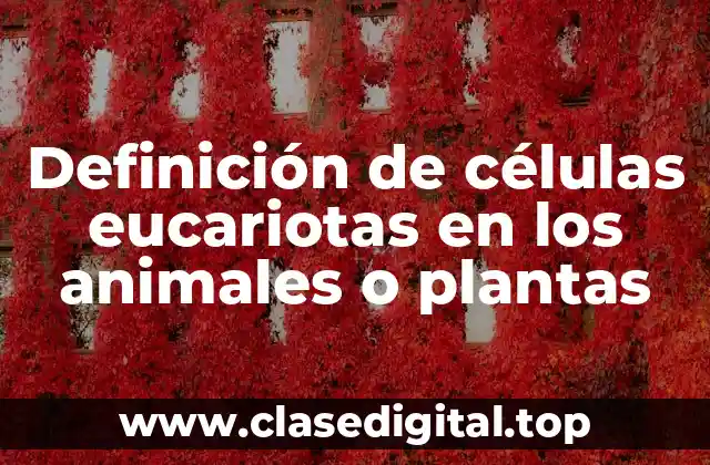 Definición de células eucariotas en los animales o plantas