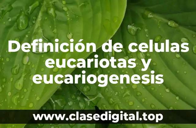 Ejemplos de células eucariotas