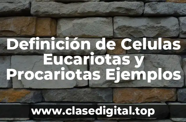 Definición técnica de células Eucariotas y Procariotas