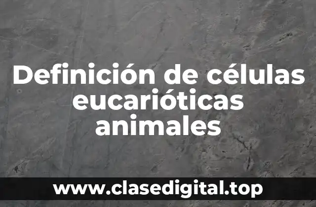 Definición de células eucarióticas animales