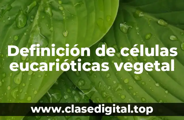 Definición de células eucarióticas vegetal