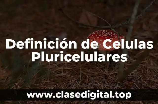 Definición de Celulas Pluricelulares