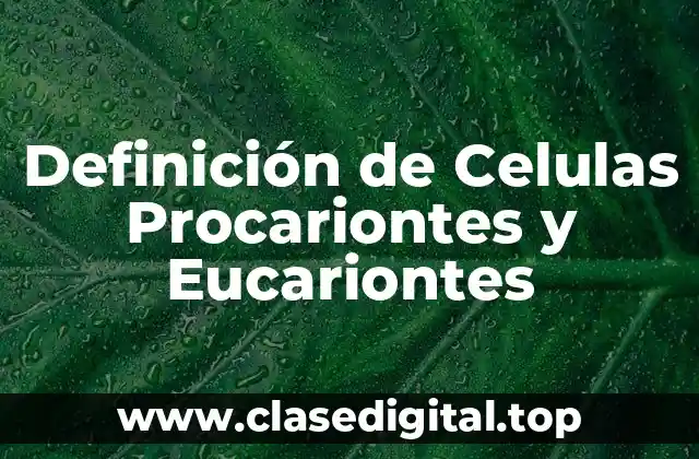 Definición de Celulas Procariontes y Eucariontes