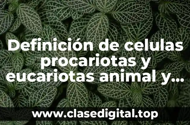 Definición de celulas procariotas y eucariotas animal y vegetal