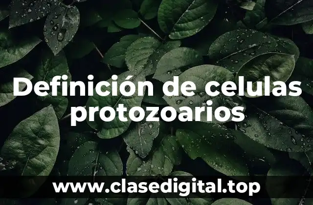 Definición de celulas protozoarios