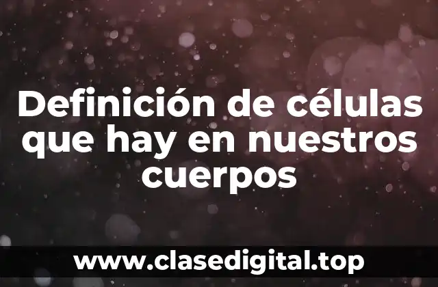 Definición de células que hay en nuestros cuerpos