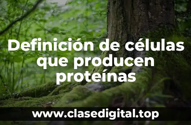 Definición de células que producen proteínas