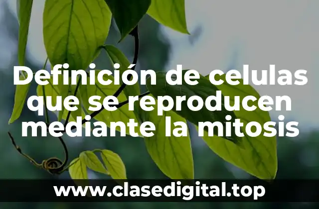 Definición de celulas que se reproducen mediante la mitosis