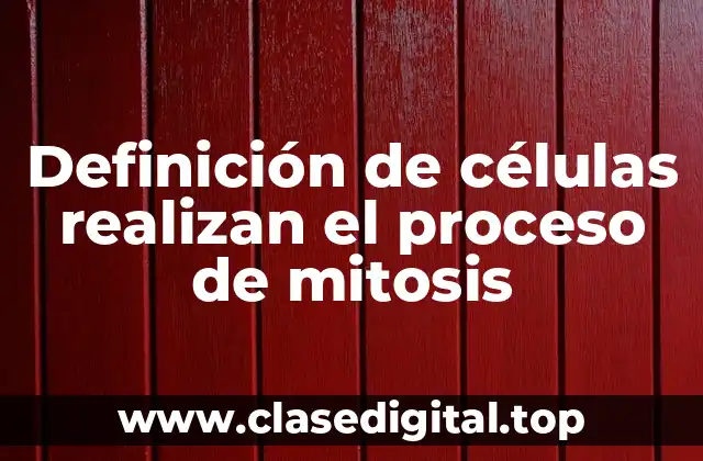 Definición de células realizan el proceso de mitosis
