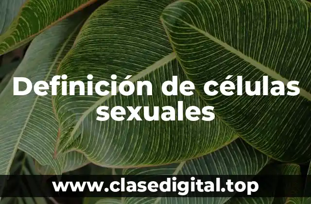 Definición de células sexuales
