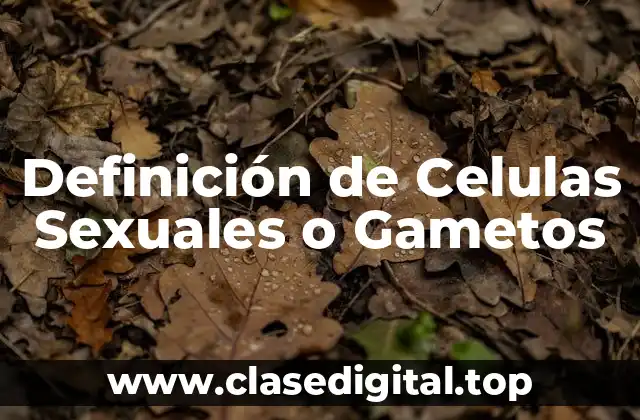 Definición de Celulas Sexuales o Gametos
