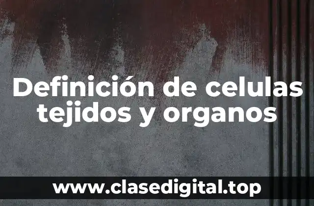 Definición de celulas tejidos y organos