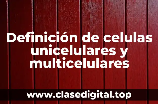 Definición de celulas unicelulares y multicelulares