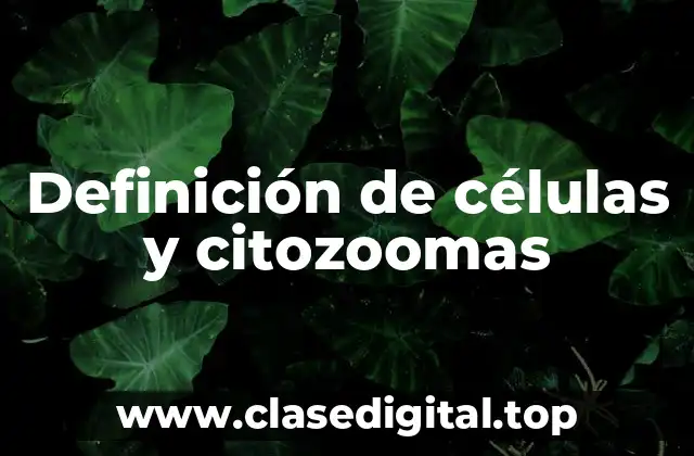 Definición de células y citozoomas