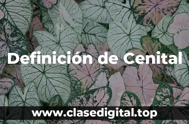 Definición de Cenital